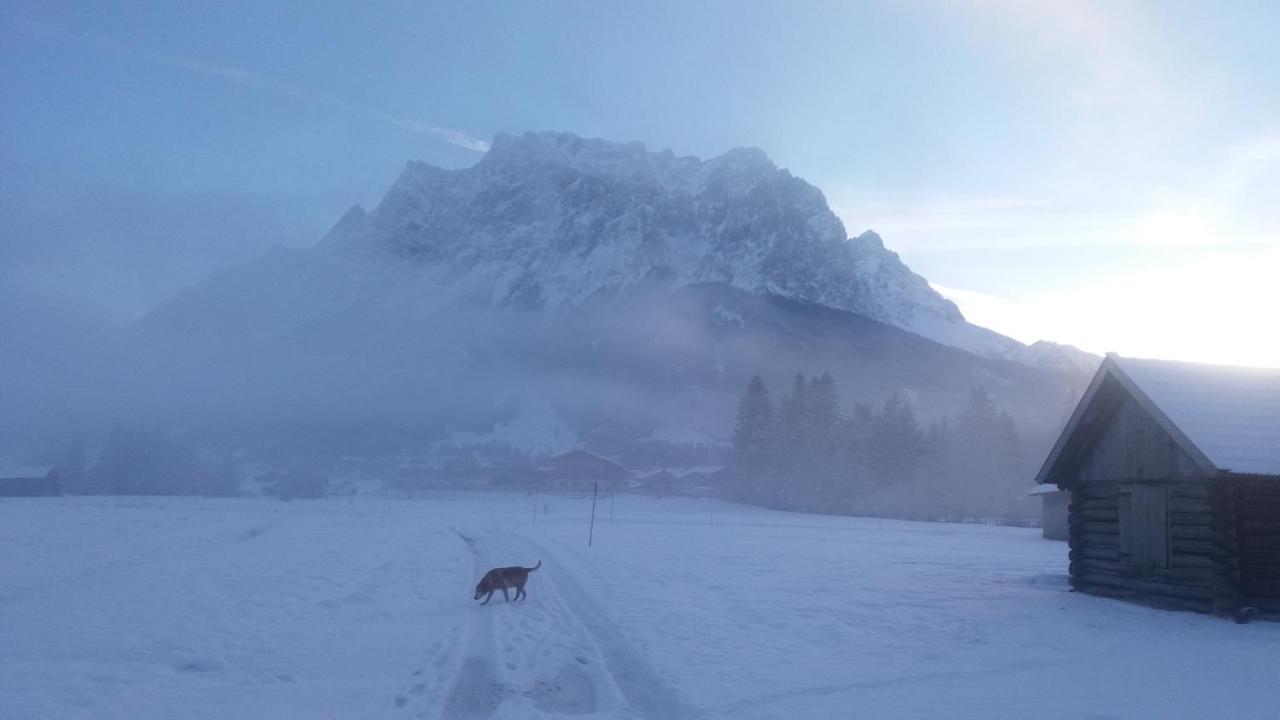Tyrol Appartements Ehrwald Exteriör bild
