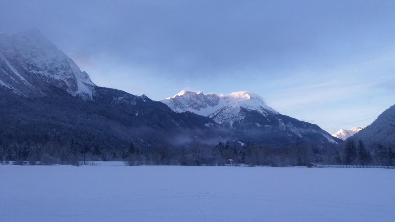 Tyrol Appartements Ehrwald Exteriör bild