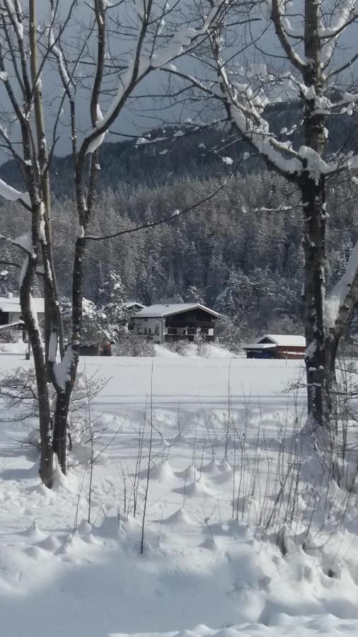Tyrol Appartements Ehrwald Exteriör bild