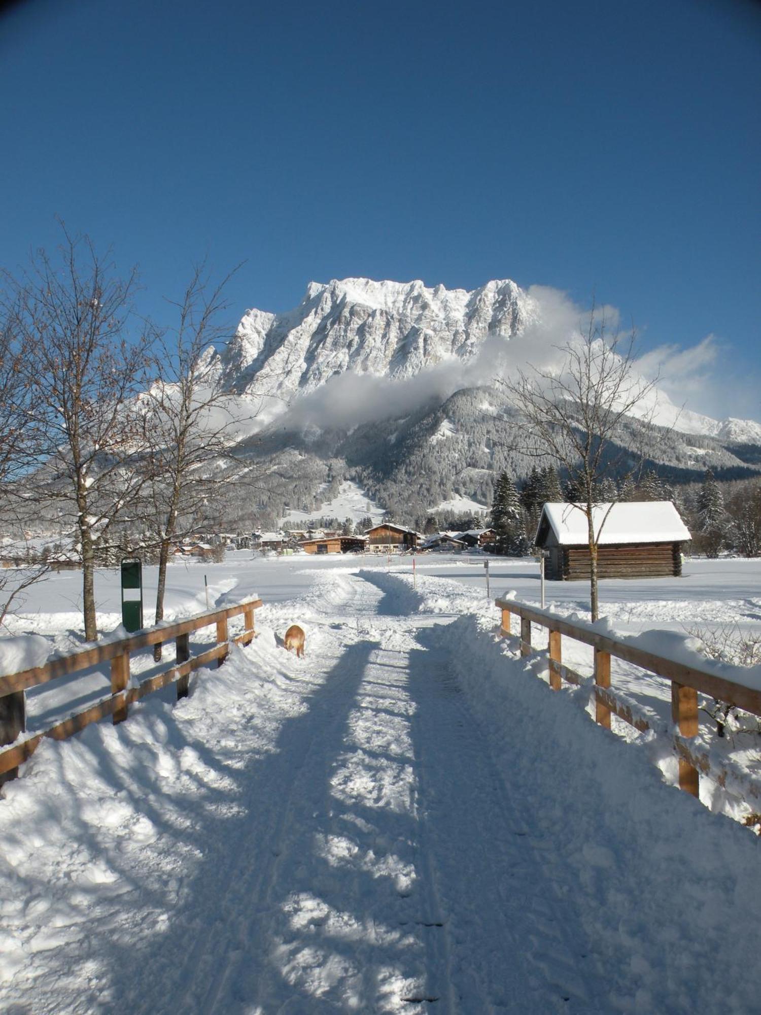 Tyrol Appartements Ehrwald Exteriör bild
